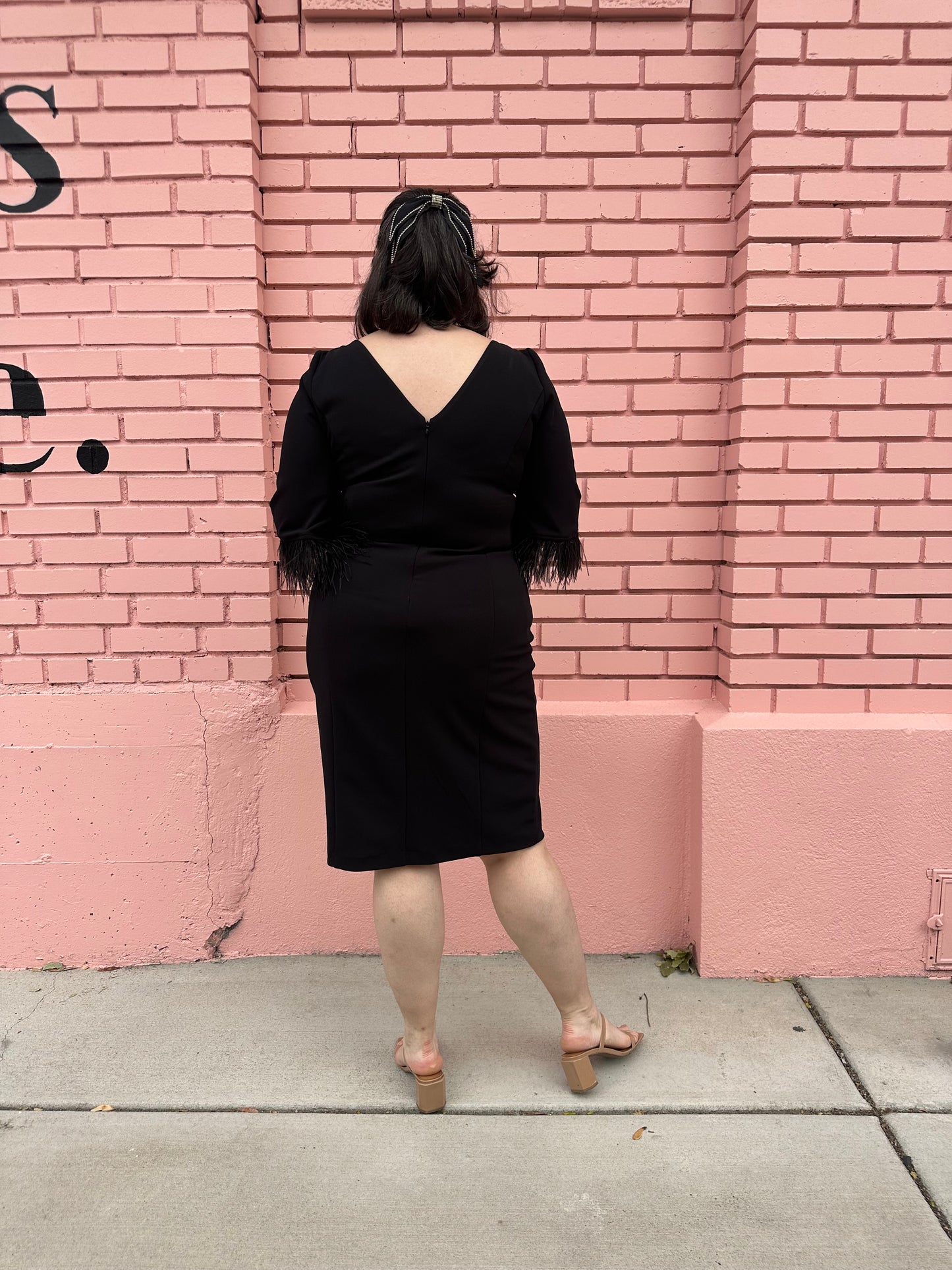 Adrianna Papell Black Feather Midi Dress