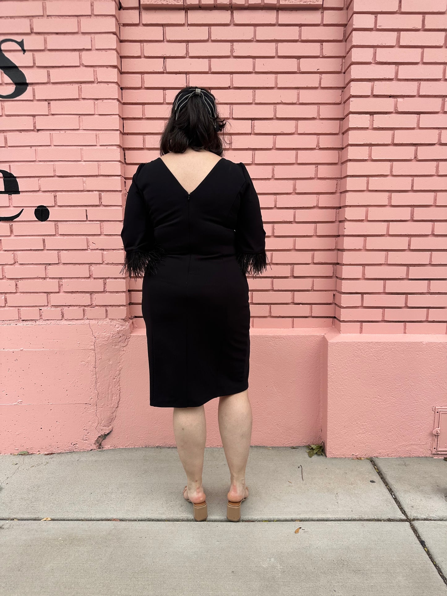 Adrianna Papell Black Feather Midi Dress